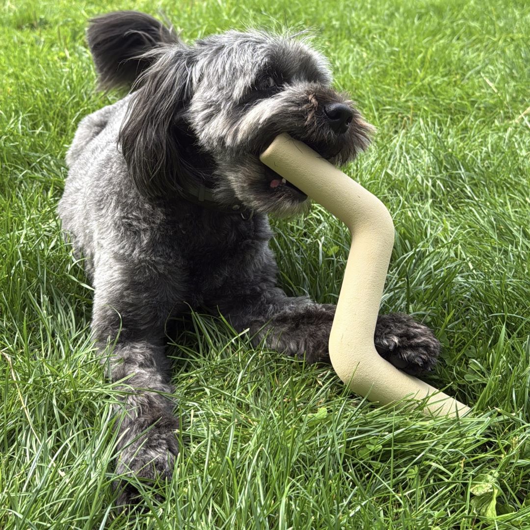 Bestsellers honden