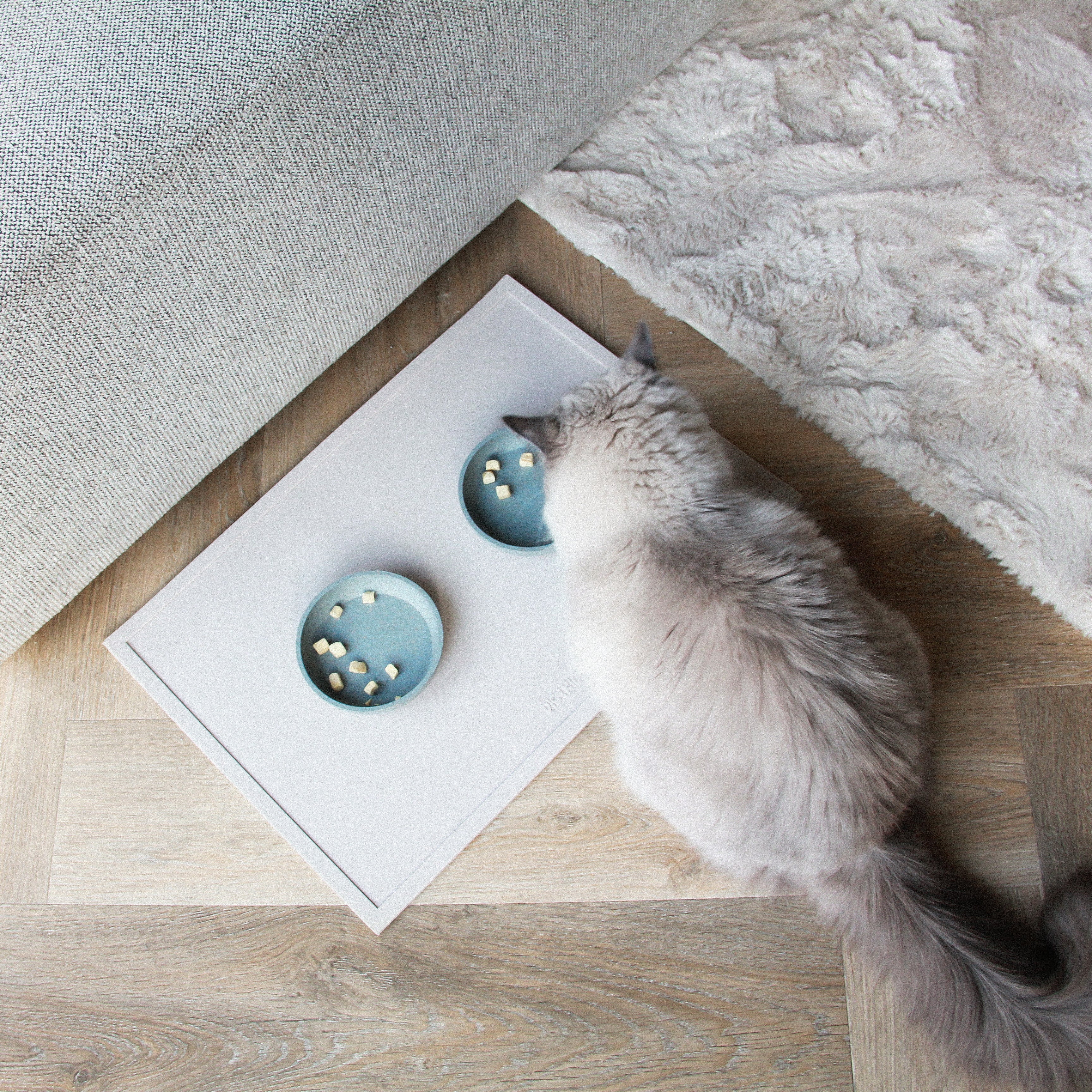 Katten accessoires