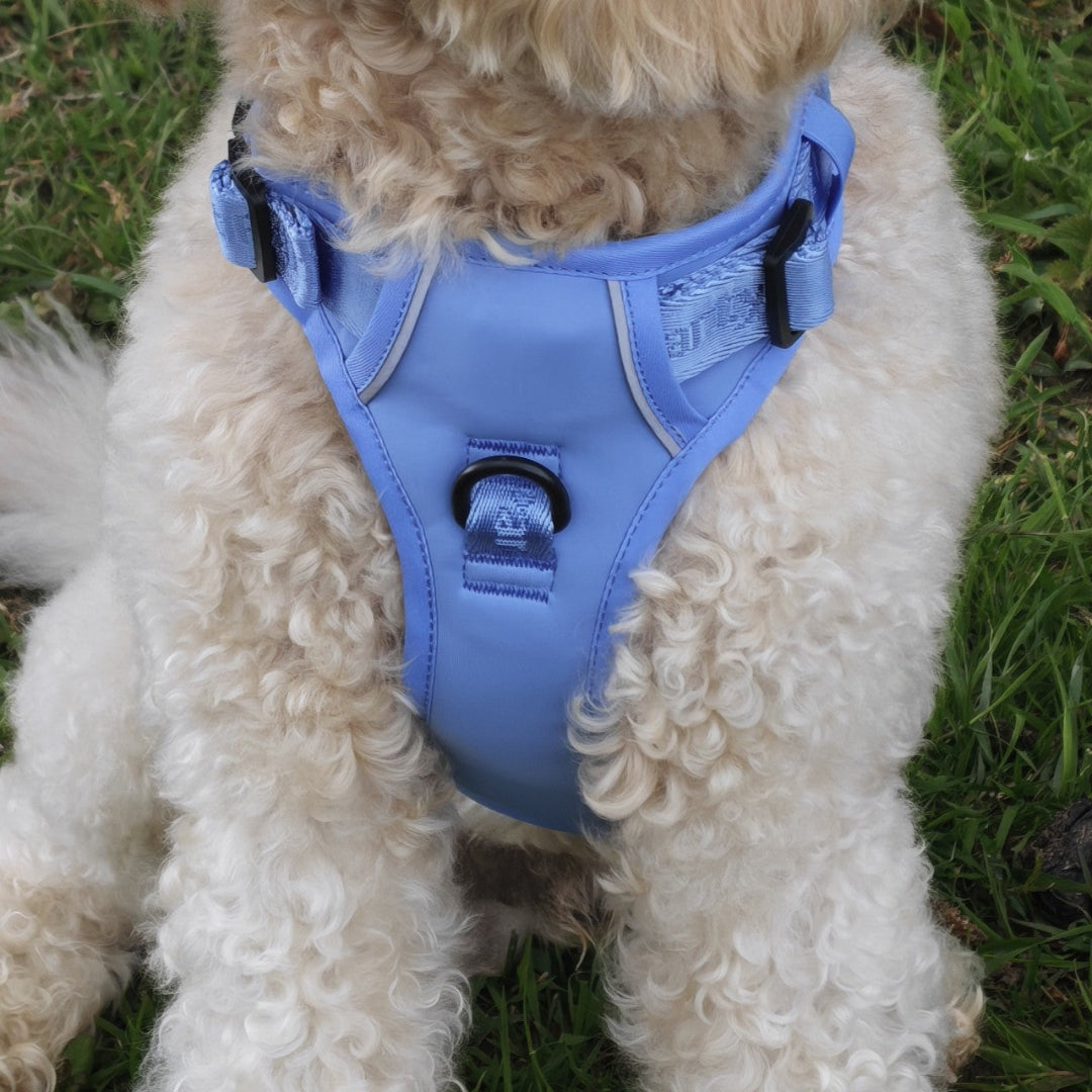 Blauw of roze no pull harnas voor honden.