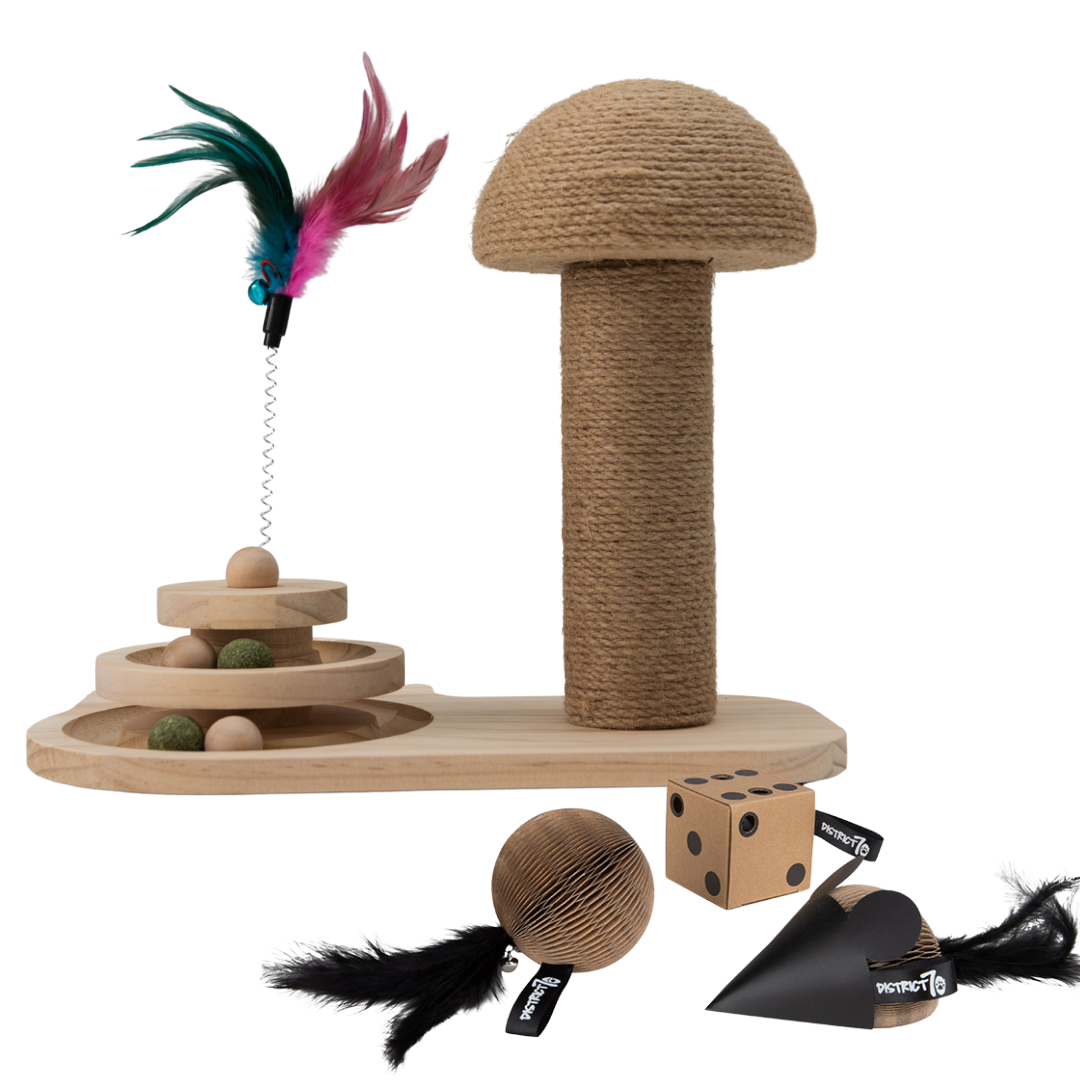 paddenstoel krabpaal giftset met kartonnen kattenspeeltjes en speelbal voor katten