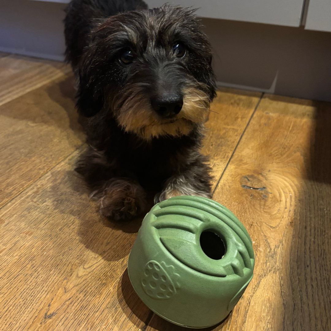 groene snuffel&snackbal van natuurlijk rubber met opening voor hondensnacks. mentale uitdaging met beloning.