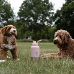 RVS Honden Drinkfles 3-in-1 met gravering in lichtroze