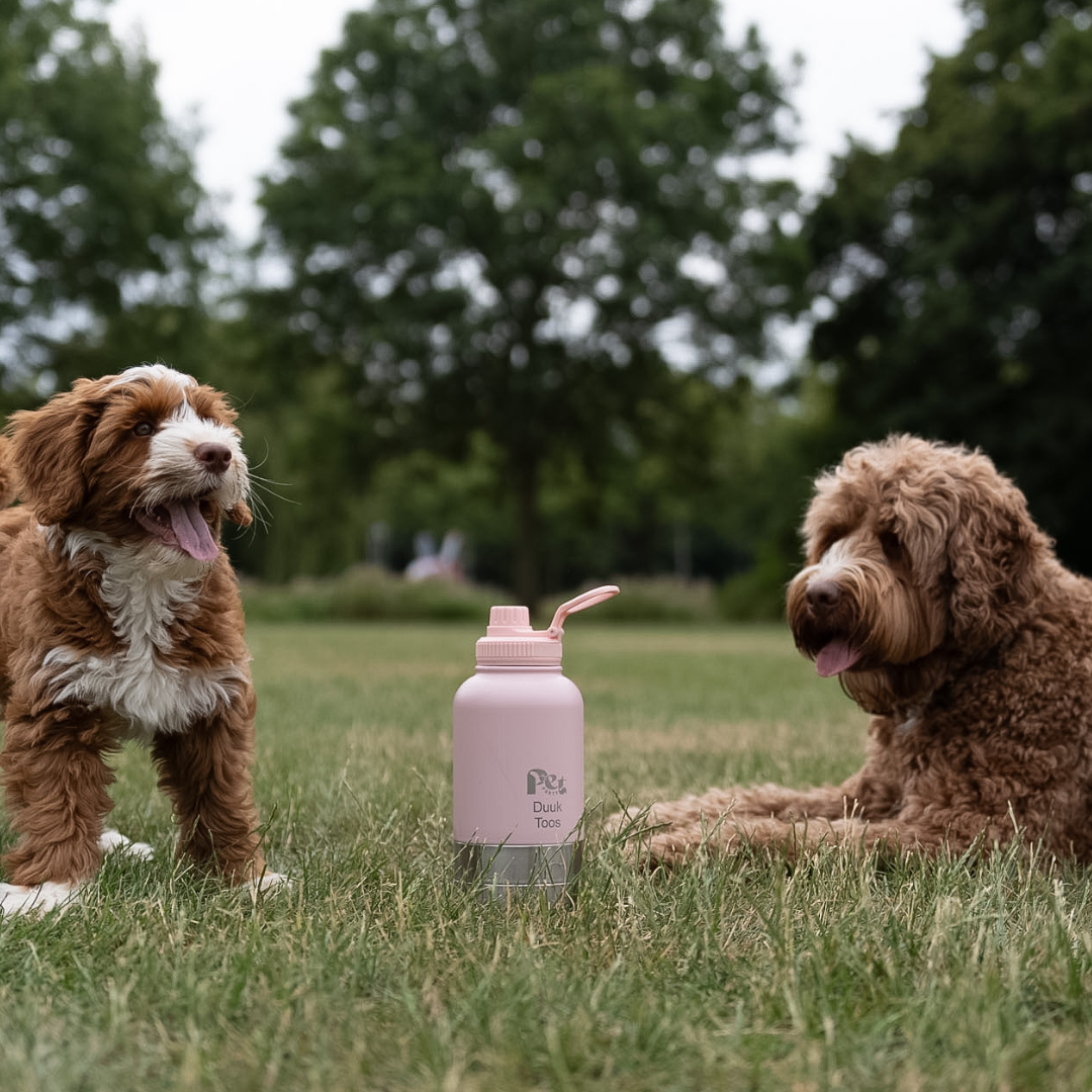 RVS Honden Drinkfles 3-in-1 met gravering in lichtroze