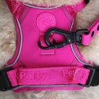 Waterproof hondenriem beschikbaar in blauw of roze.